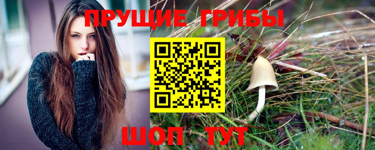 Реутов  Псилоцибиновые грибы ЛСД  Псилоцибиновые грибы GOLDEN TEACHER  Вход с VPN 